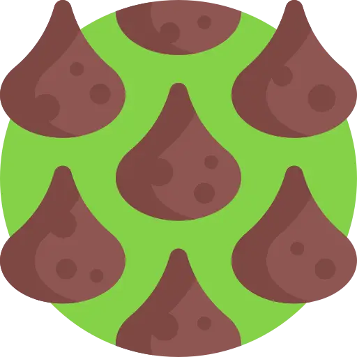 Chocolate Lover