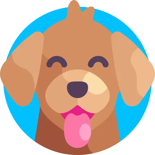 Arf