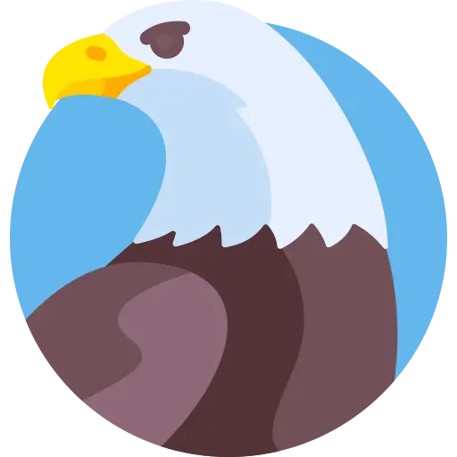 USA Buff