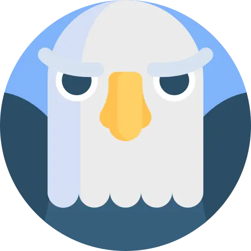 Eagle Eye