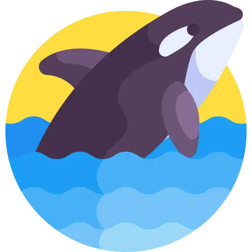 Ocean Explorer