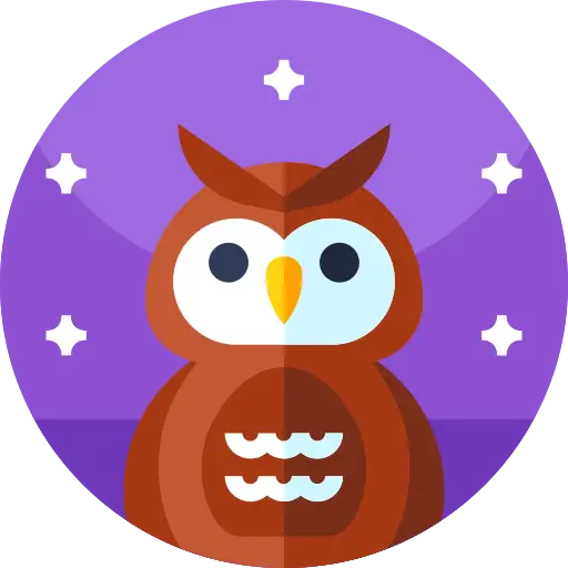 Night Owl