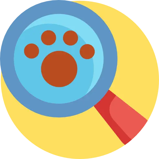 Animal Detective
