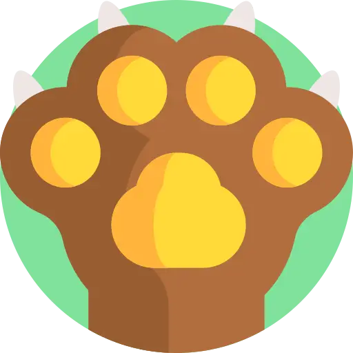 Animal Curious