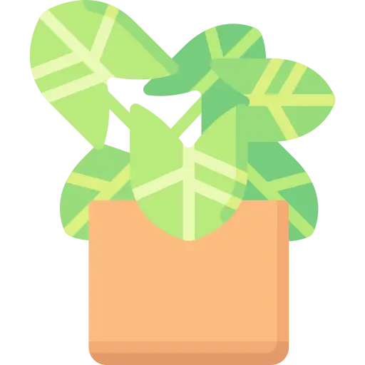 Plant Parent