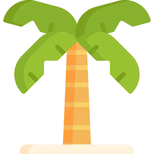 Beach Bum