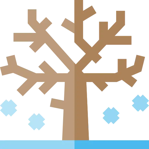 Cold Beginner